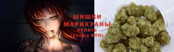 хмурый Няндома