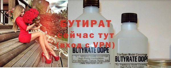 хмурый Няндома