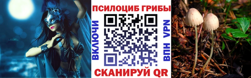 Купить где  Нарьян-Мар  Галлюциногенные грибы Psilocybine cubensis 