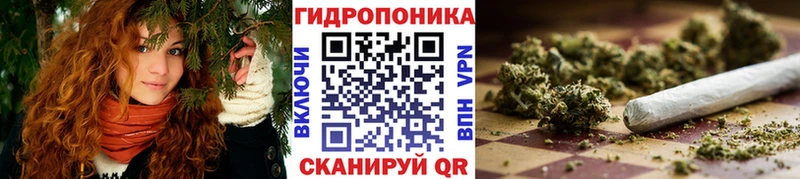Купить закладки  Нарьян-Мар  Конопля Amnesia 